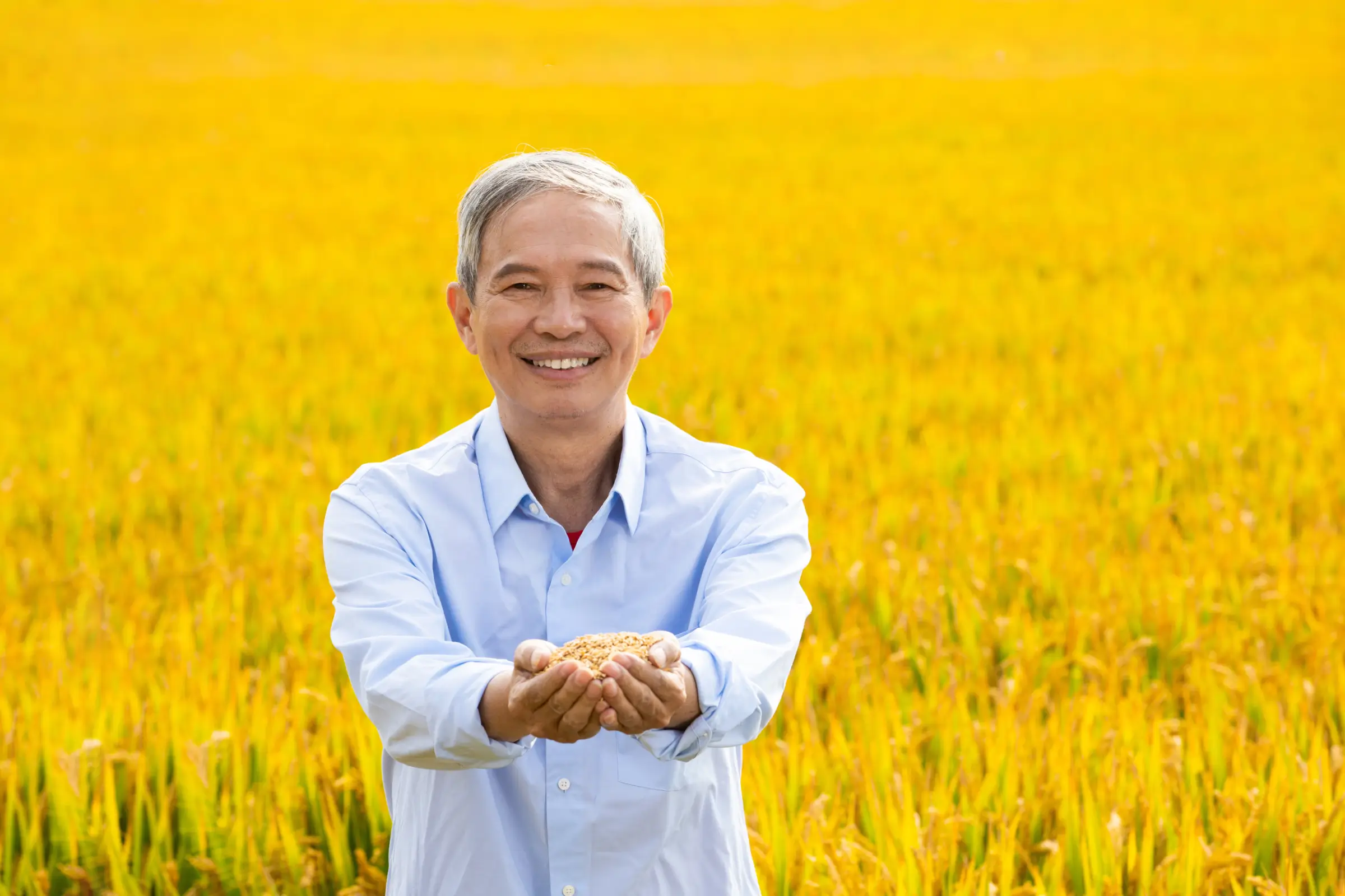 Vietnamese farmer working in a field