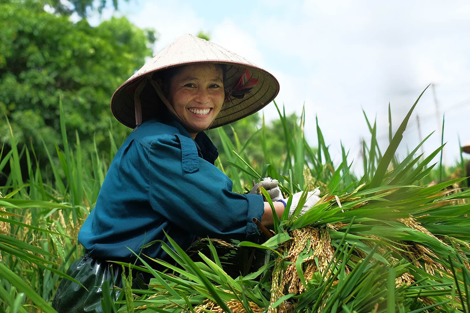 NAM-TURAL-ECO-FIRELIGHTERS,-Fire-Starter-Made-from-Rice-Straw-in-Vietnam-farmerl